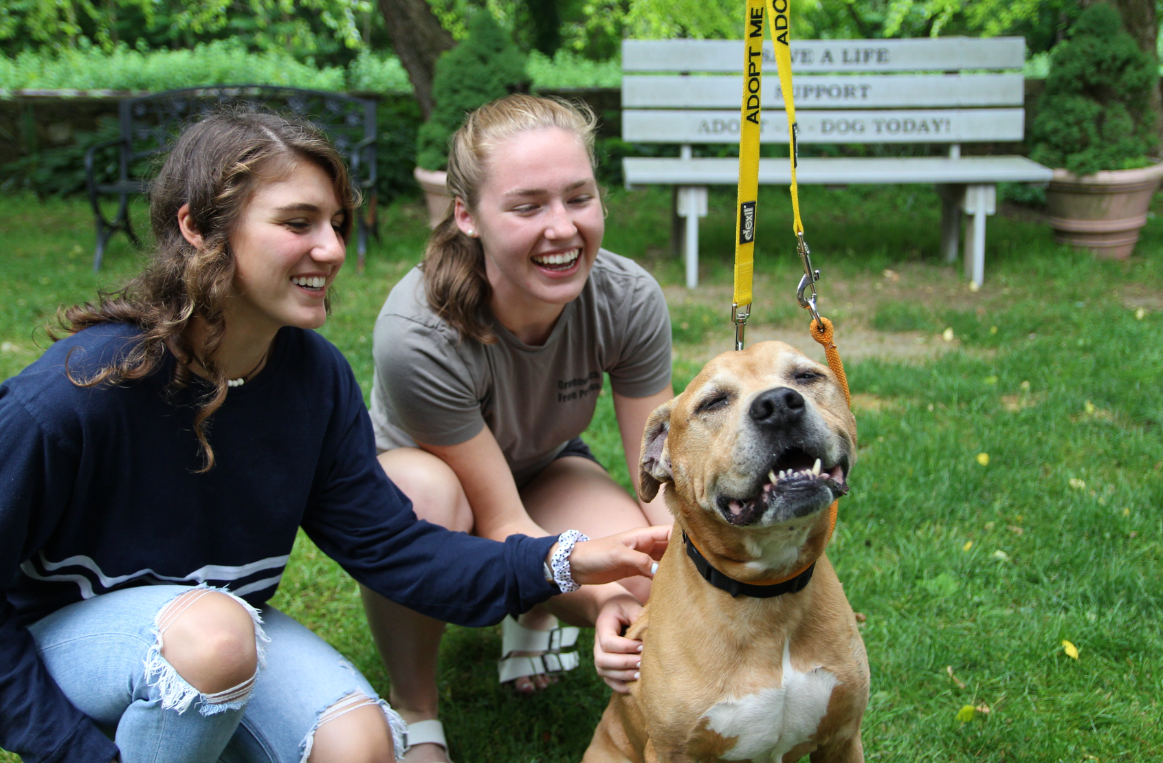 Katie and Ellie with Dugan at Adopt a Dog. June 10, 2019 Photo: Leslie Yager