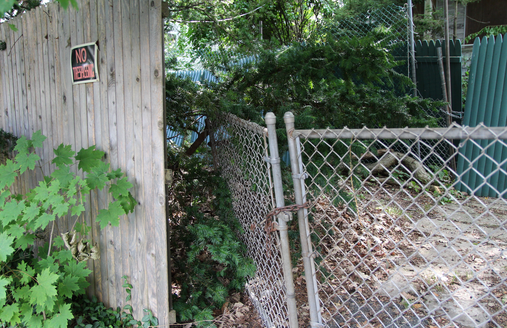 Gap between stockade fence and chain link gate at 46 Mead Ave. July 20, 2019 Photo: Leslie Yager