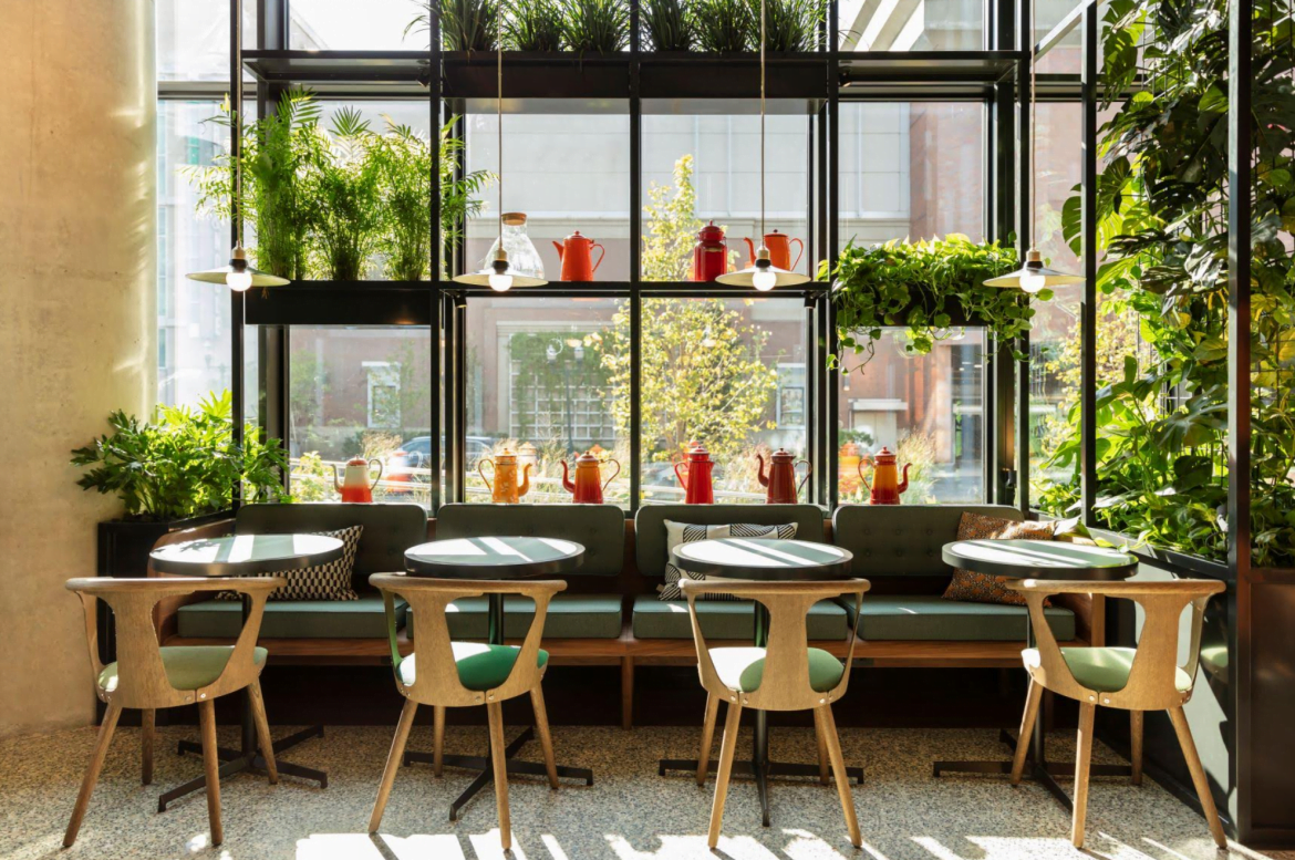 Roost Kitchen + Coffee Opening Friday, Oct 25 in Stamford Urby