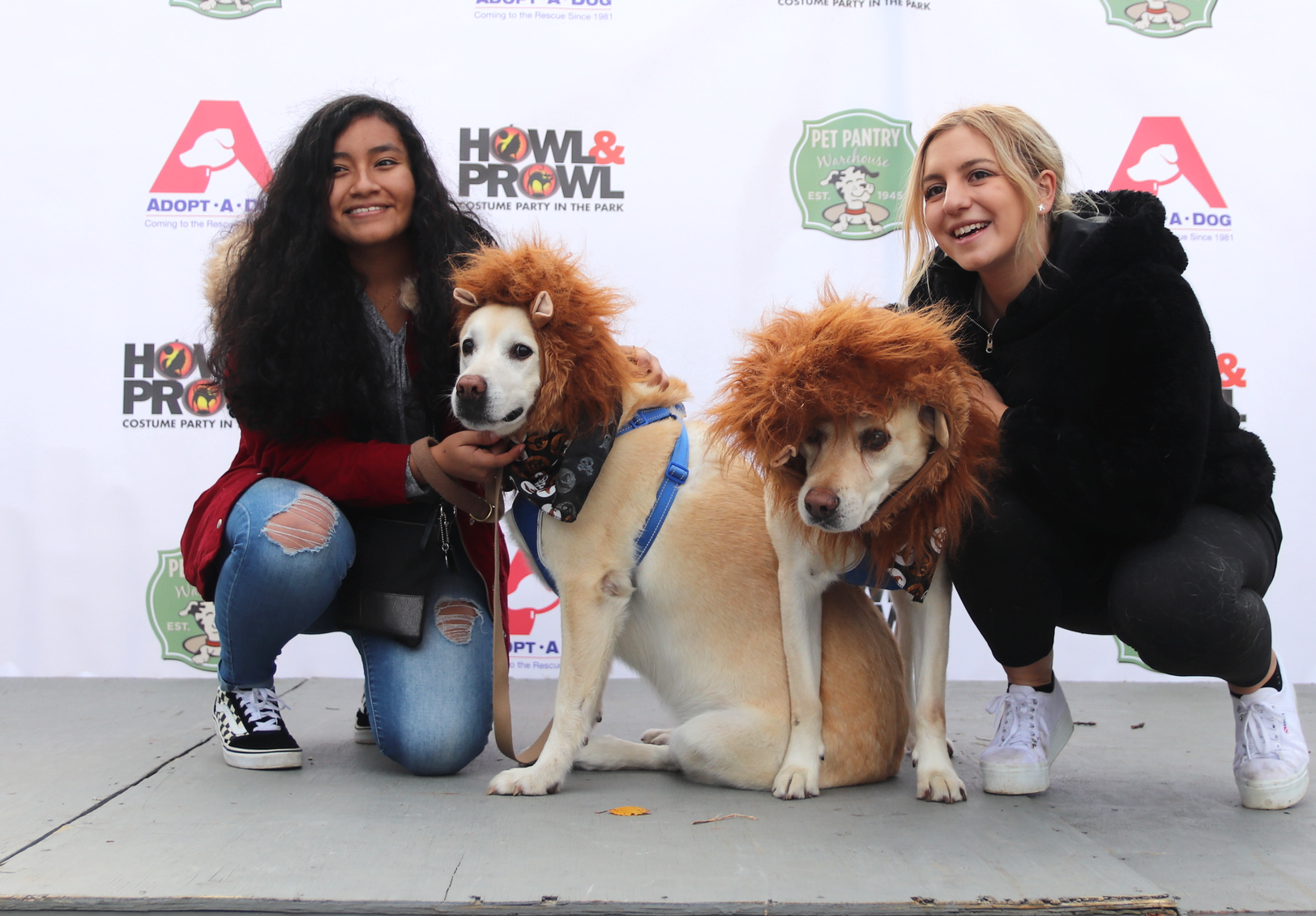 Adopt A Dog's 12th annual Howl & Prowl was presented by Pet Pantry Warehouse. Nov 3, 2019 Photo: Leslie Yager