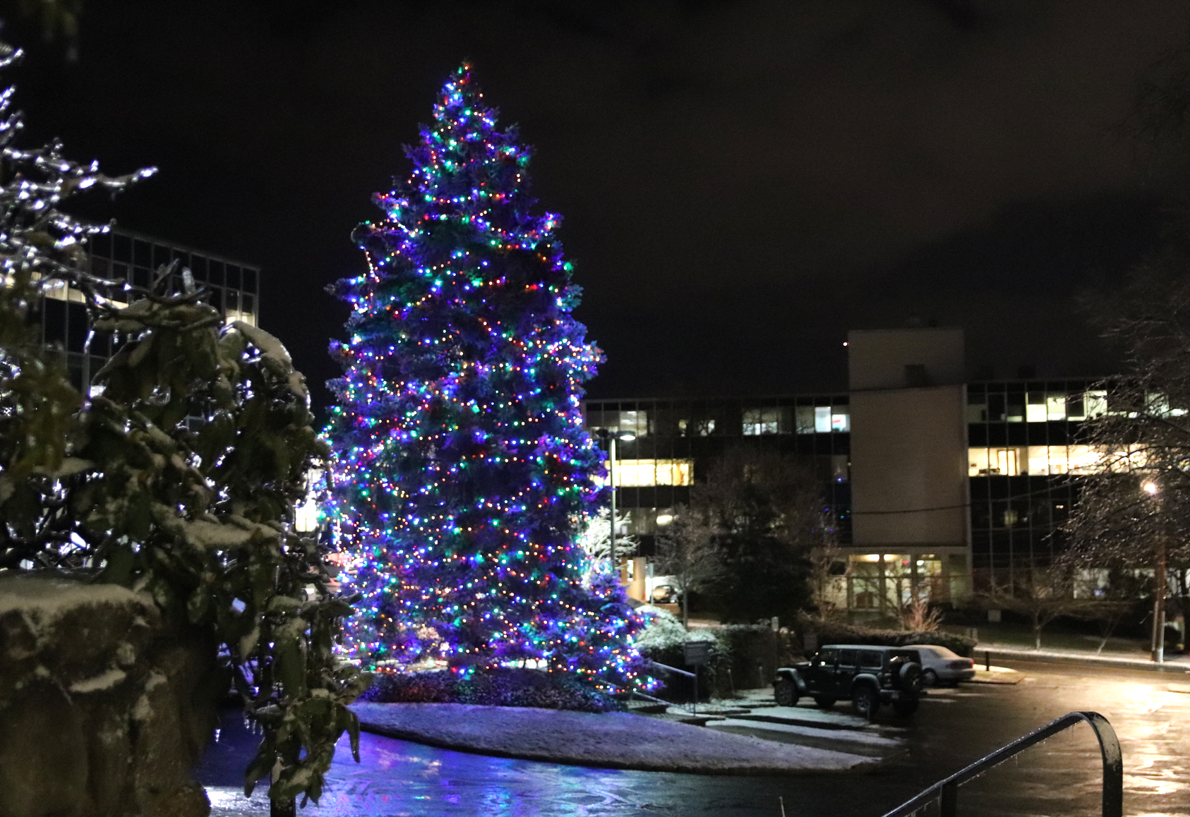 Massive tree with colorful lights at Pickwick Plaza. Photo: Leslie Yager