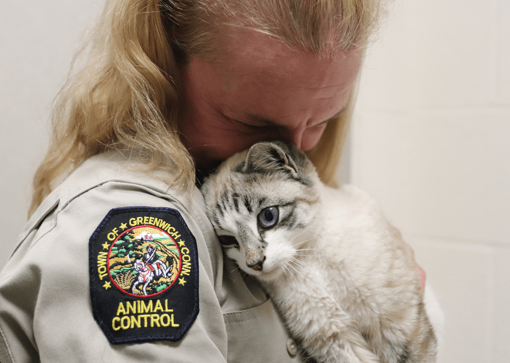 Simon, who is recovering from surgery to his tibia, hips and leg, is super affectionate and a fighter. Pictures with ACO Stacy Rameor at Animal Control's North Street facility. Jan 2, 2020 Photo: Leslie Yager