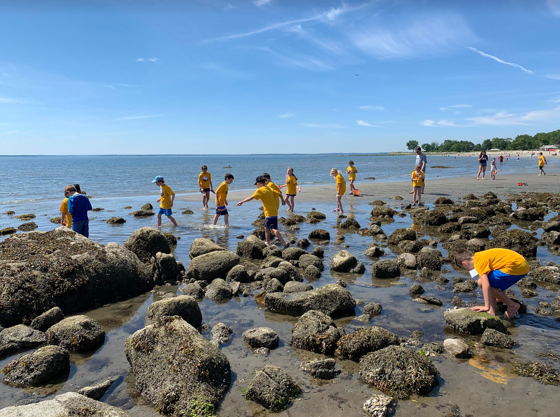 Sandpipers Beach Camp