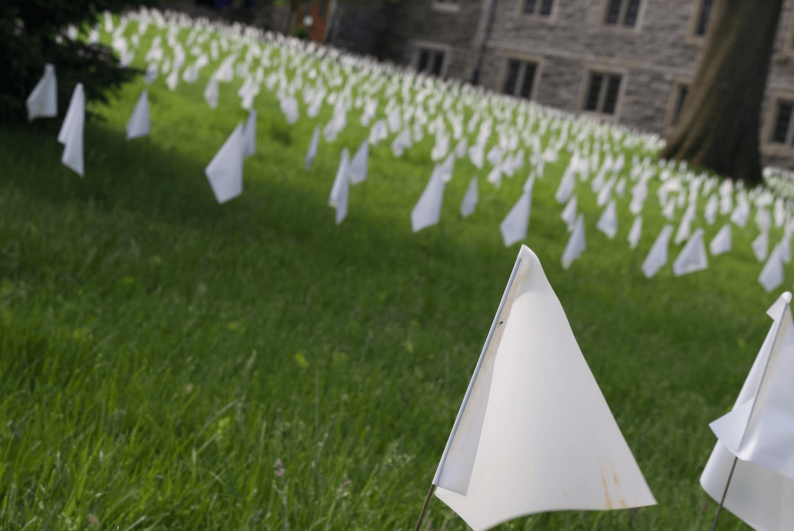 White flags on the lawn of First Church in Old Greenwich. Photo: Oura Miyazaki