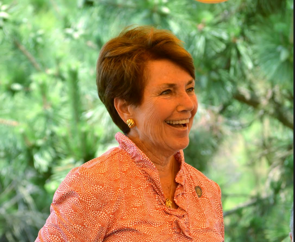 State Rep Livvy Floren at the League of Women Voters legislative luncheon, July 9, 2019 