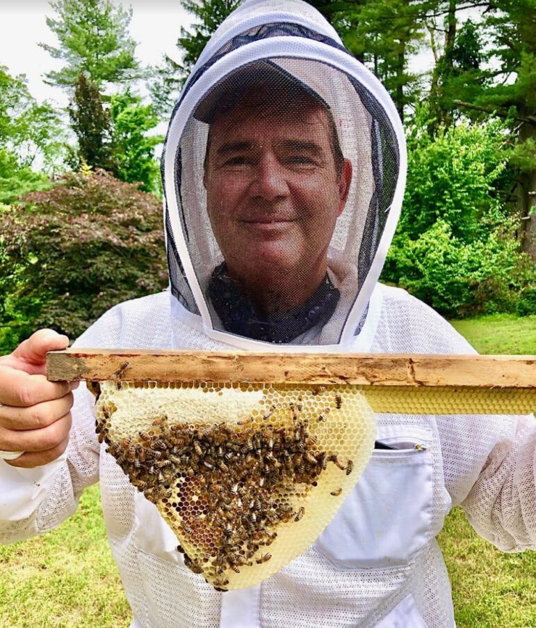 How You Can Protect Honey Bees Or Be A Backyard Beekeeper Greenwich Free Press