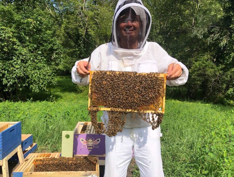 Beekeeping the old way, News