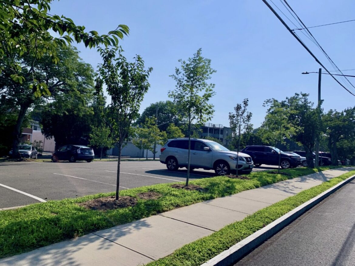 Greenwich Tree Conservancy combats heat island effect in Greenwich parking lots